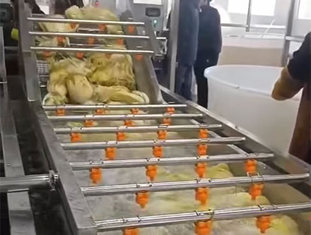 酸菜脫鹽機(jī)